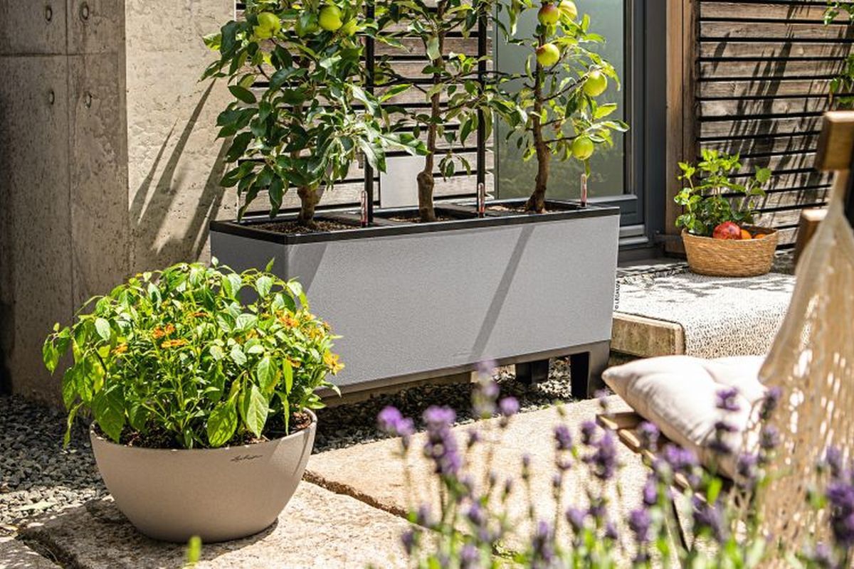 Balcony Gardening Bootcamp: transform your small space into a sky-high sanctuary