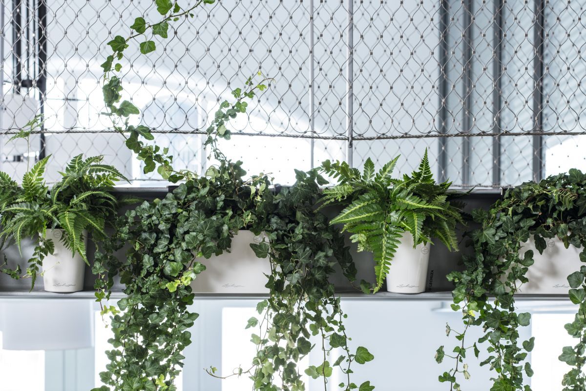 Let LECHUZA look after your plants whilst you are away