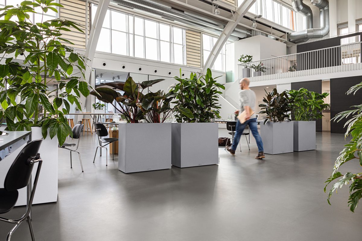 Fulfilling decorative floral contract requirements with LECHUZA