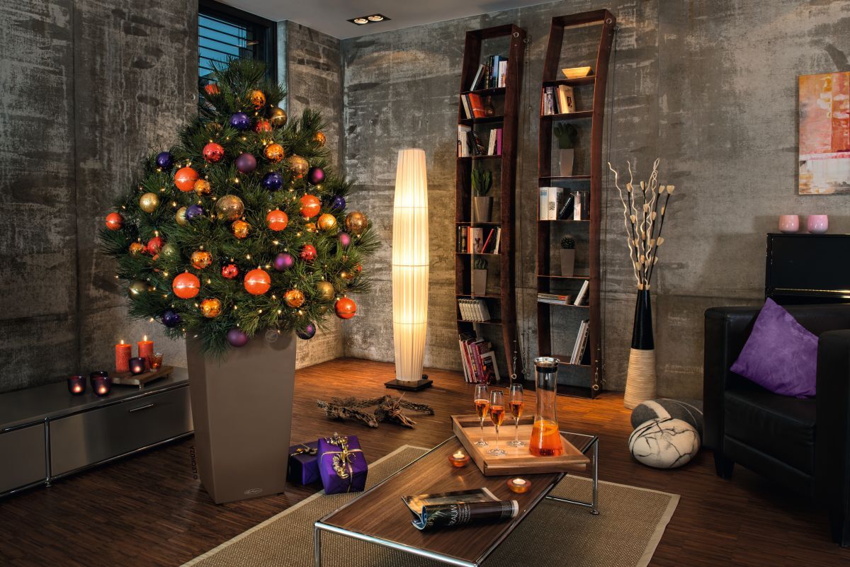 Nurture a Living Christmas Tree this Season with Lechuza