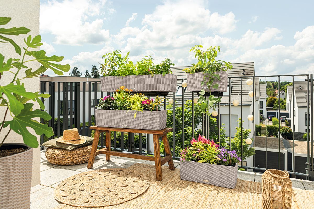 Balcony Gardening for Beginners: Step 1