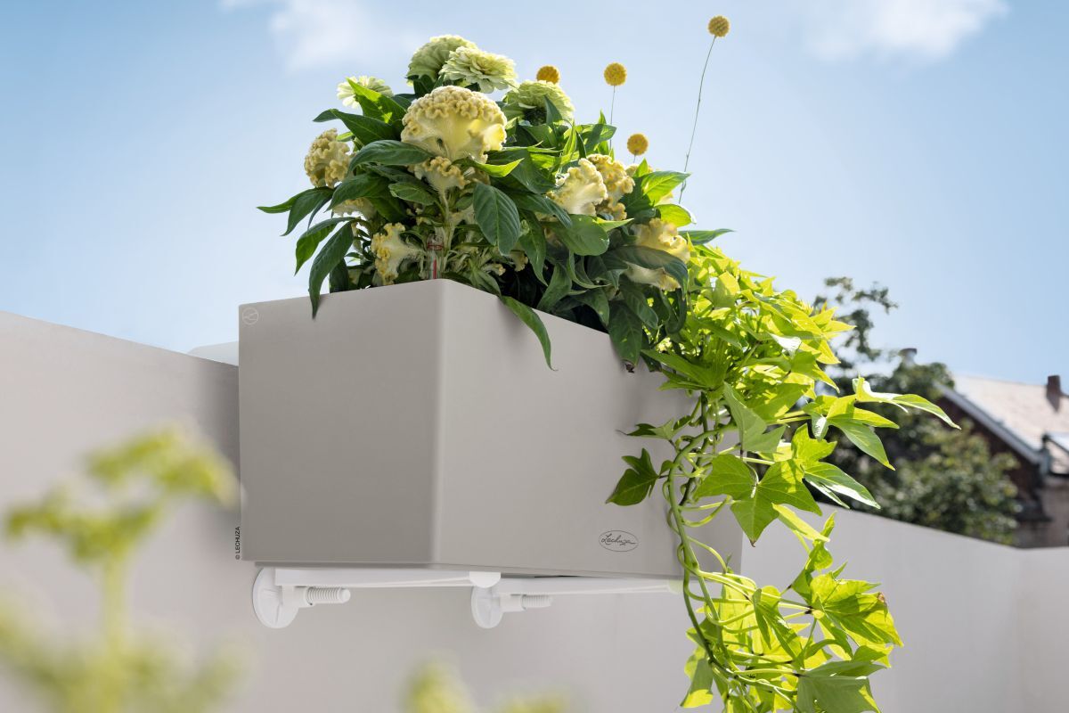 Balcony Gardening for Beginners: Step 2