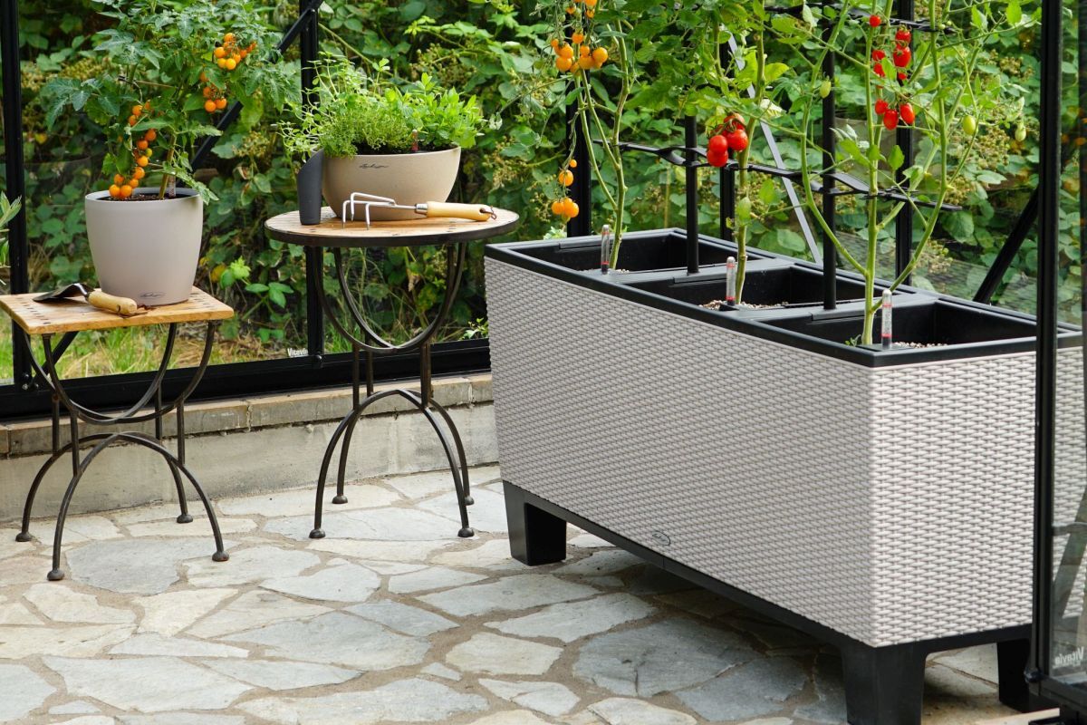 Balcony Gardening for Beginners: Step 3