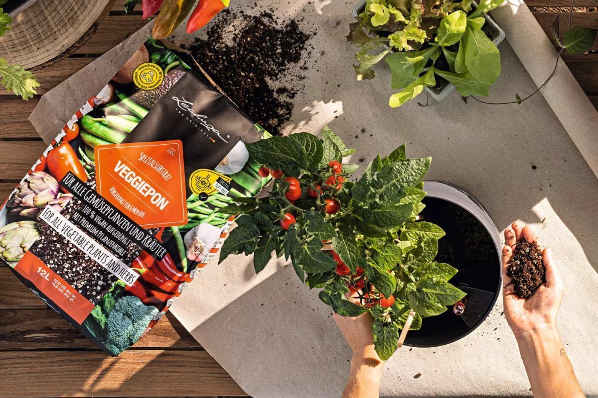 Balcony Gardening for Beginners: Step 4