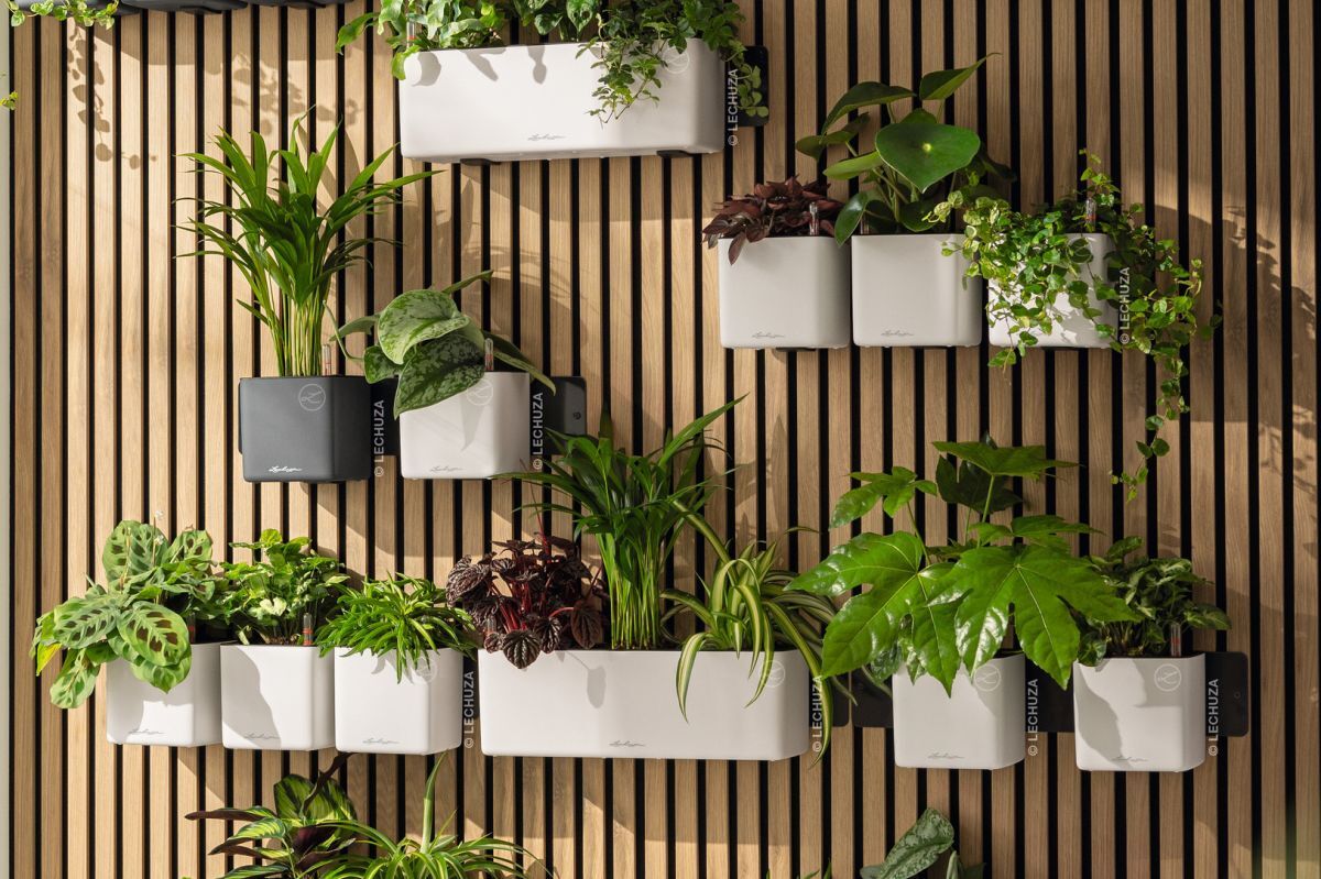 Balcony Gardening for Beginners: Step 5