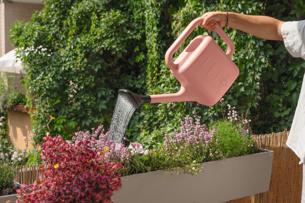 Balcony Gardening for Beginners: Step 6