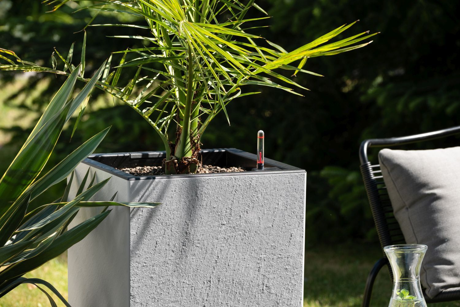 How palms became synonymous with high-end interior styling