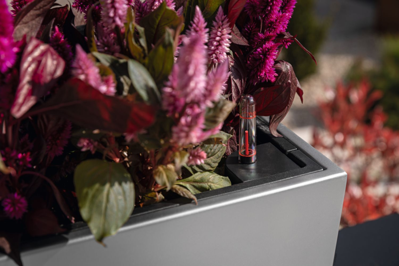 A_BLC50_Steel_Detail_Celosia_2023.jpg